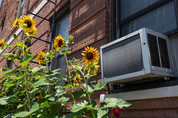 Window AC Repair Service